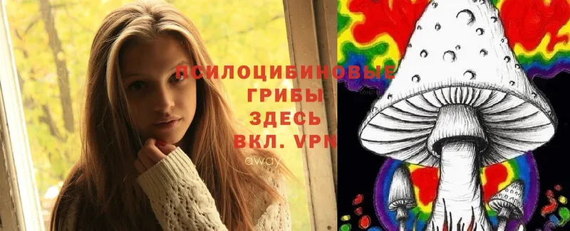 Галлюциногенные грибы Psilocybe  omg онион  Туринск  цены  